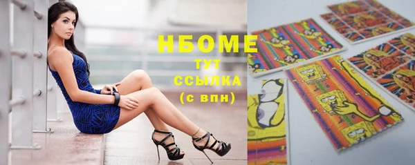 индика Нягань