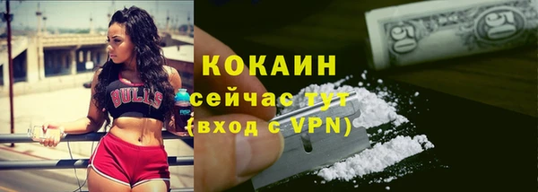 круглые Новодвинск