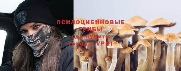 круглые Новодвинск