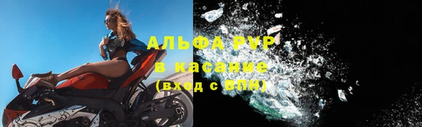 прущий лед Новозыбков