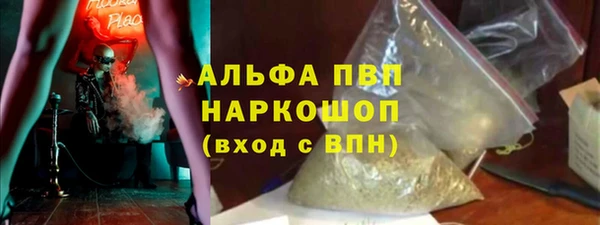 прущий лед Новозыбков