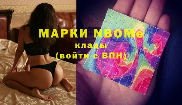 прущий лед Новозыбков