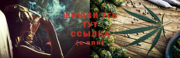 прущий лед Новозыбков