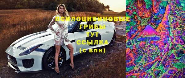 2c-b Новокубанск