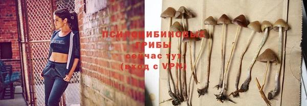 круглые Новодвинск