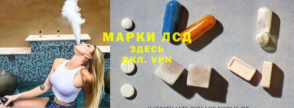 прущий лед Новозыбков