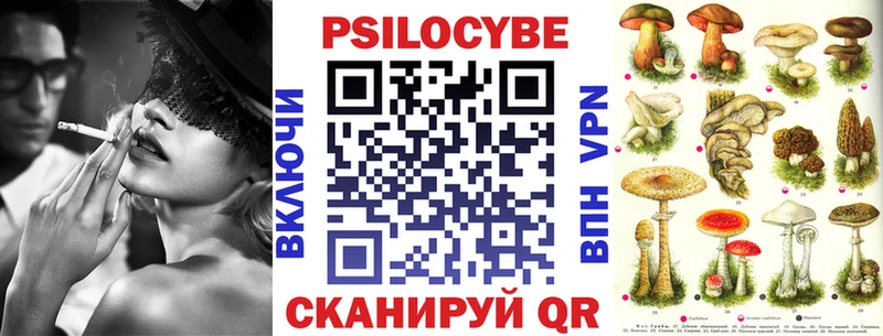 Купить где  Старая Купавна  Псилоцибиновые грибы Cubensis 